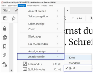 Acrobat Reader mit geöffnetem Menü „Anzeige“. Der Eintrag „Anzeigegröße“ ist blau umrahmt; im danebenliegenden Untermenü stehen „Klein“, „Standard“ und „Groß“, wobei „Groß“ mit Häkchen blau umrahmt ist.